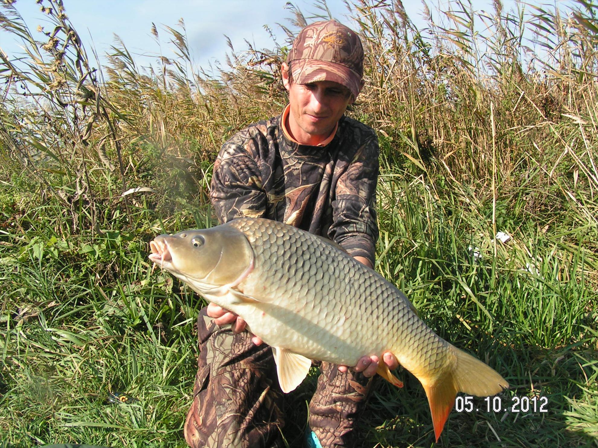 Lates 4-6.10.2012 - pict1049.JPG